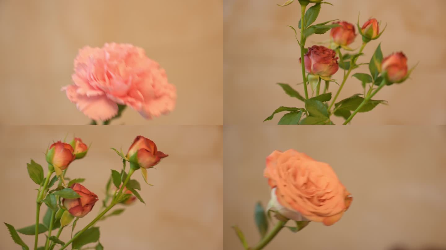 鲜花母亲节情人节玫瑰卡布奇诺花束
