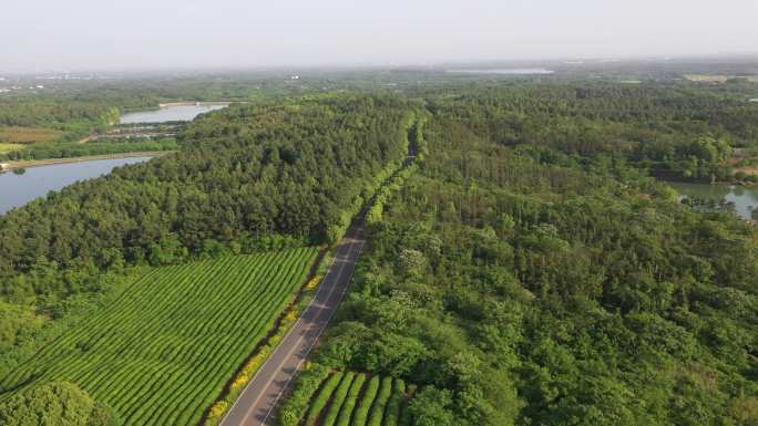 溧阳1号公路神之女之心茶场神女湖航拍