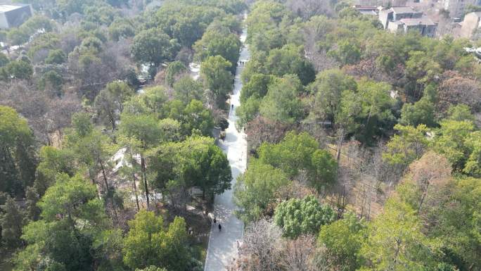 航拍-城市公园风景-京山市文峰公园