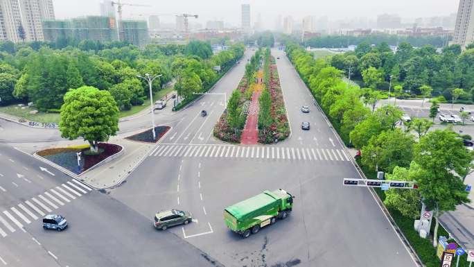 浪漫的交通路口的绿化 月季花