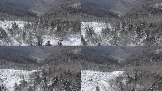 航拍黑龙江亚布力滑雪场雪景高山石海风光