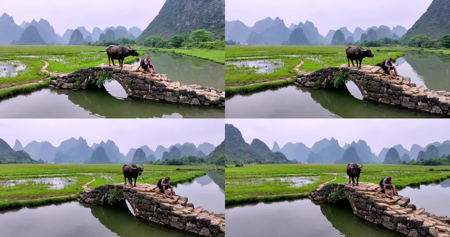 桂林状元桥老汉牵牛坐在石桥休息航拍