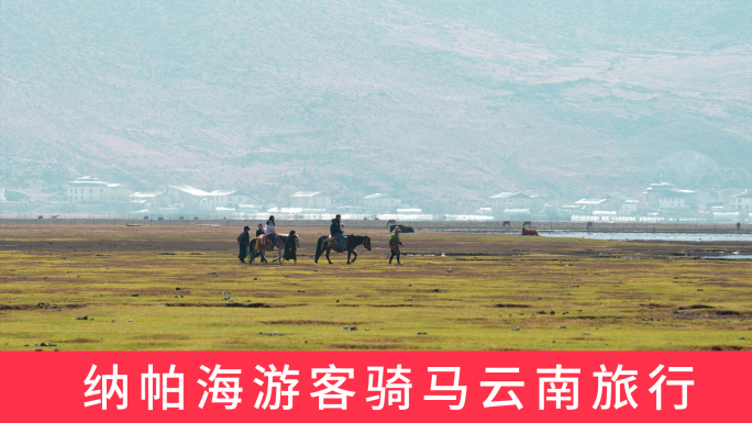 香格里拉纳帕海骑马的游客云南旅游