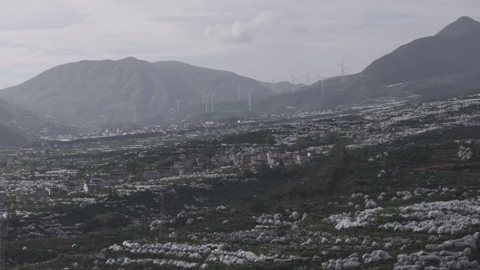 雅安市汉源县九襄镇车厘子大樱桃基地