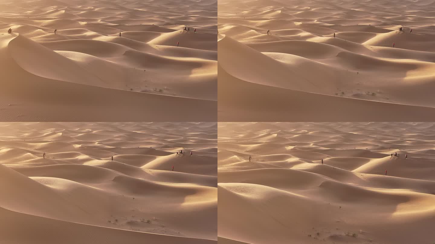 沙漠 沙漠纹理  沙漠光影效果 沙漠线条