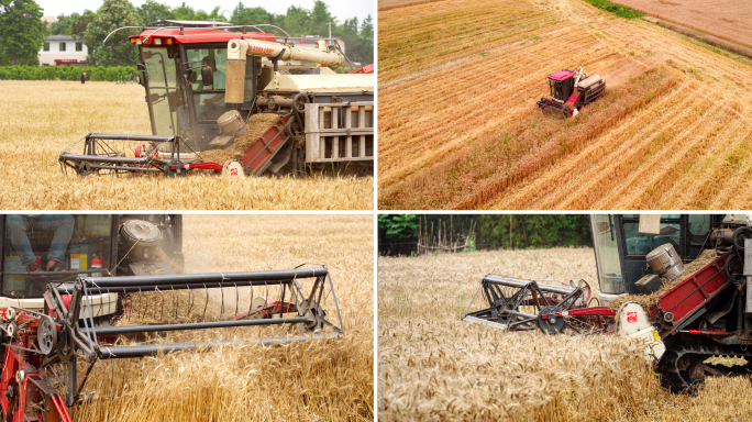 小麦丰收联合收割机麦田农业科技麦子成熟