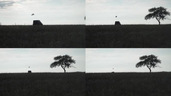 长焦大草原上孤独的一颗树稀树草原景观