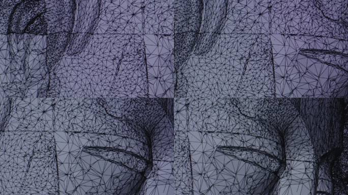 云冈石窟大佛3D扫描图