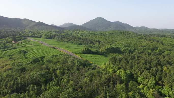 溧阳1号公路神女之心茶场瓦屋山丫髻山航拍