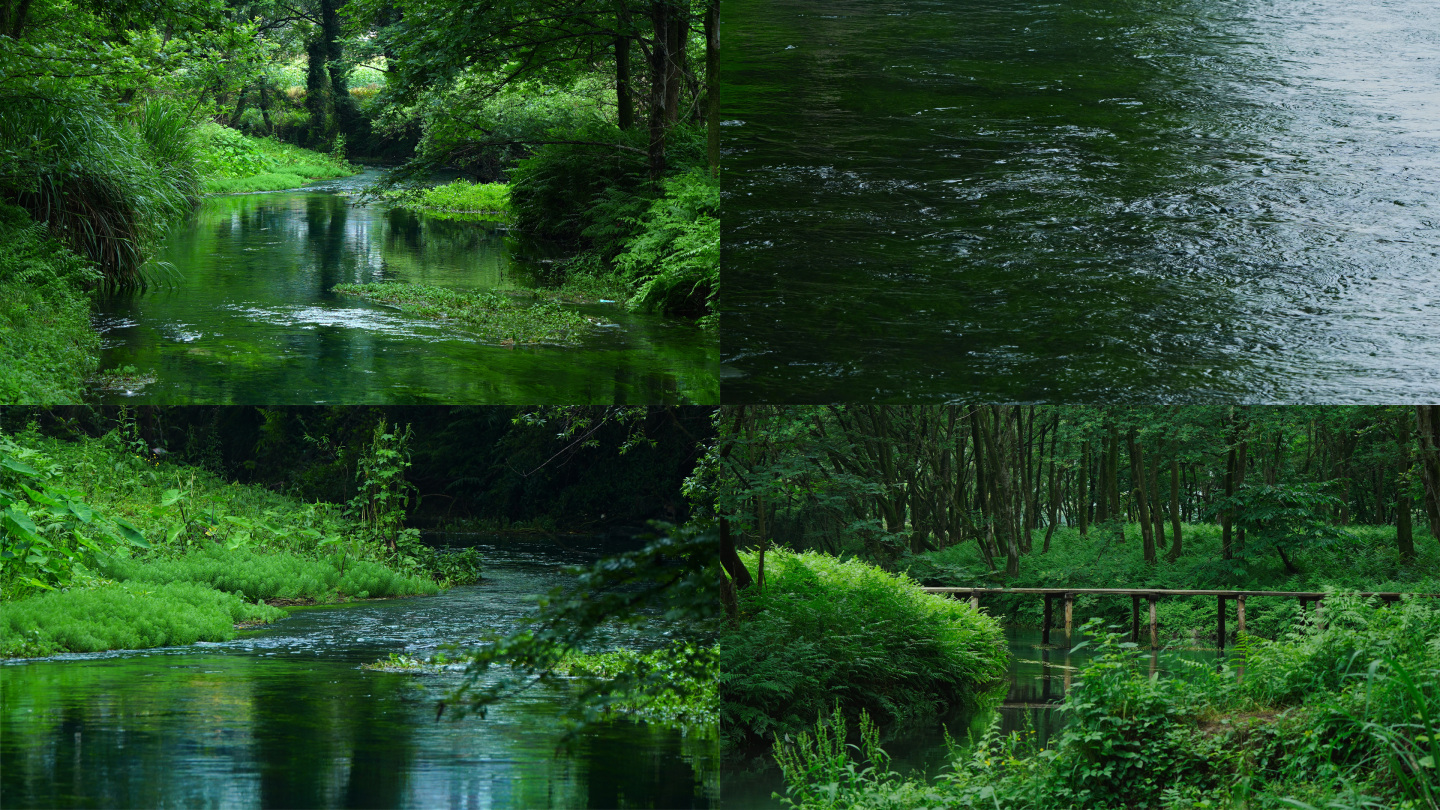 大自然绿色树林森林绿野仙踪小河溪流独木桥