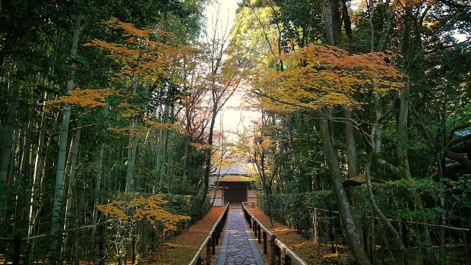 日本京都的风景