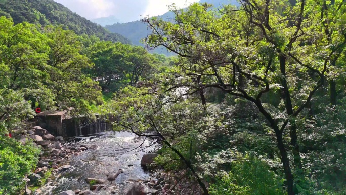 4k彩石溪 小坝 河流 小溪