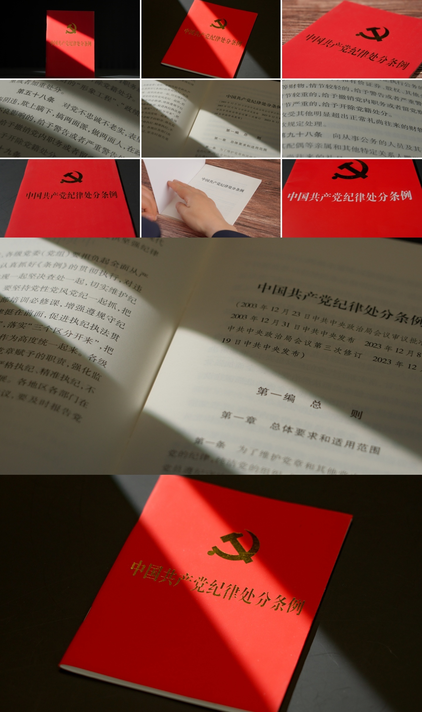 【新版】中国共产党纪律处分条例党纪学习