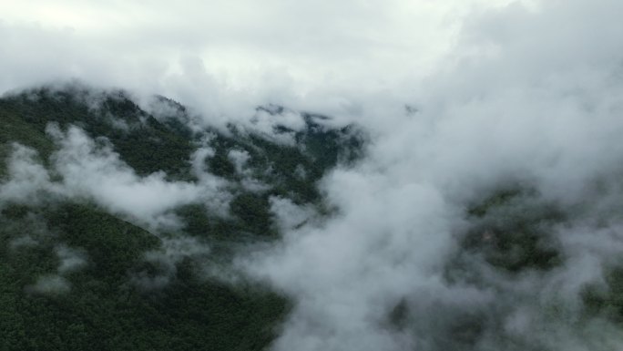 航拍山中云雾翻滚