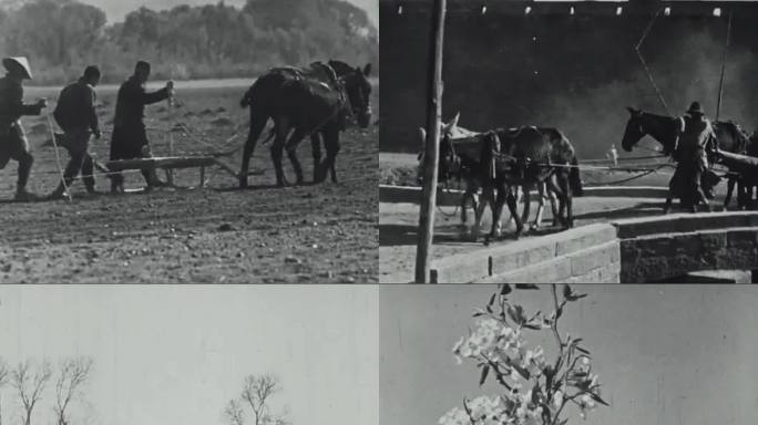20、30年代农村历史影像