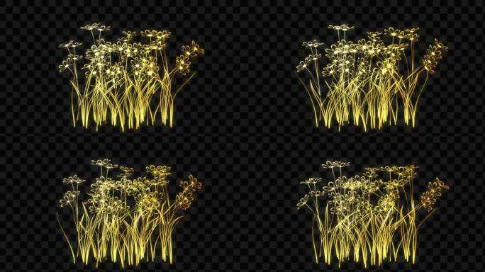 金色发光植物花丛-带透明通道