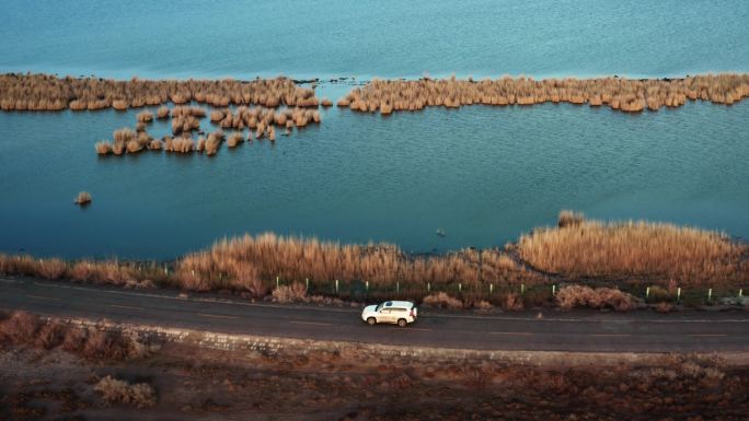 航拍4K新疆甘肃青海湖荒漠湖边行驶的汽车