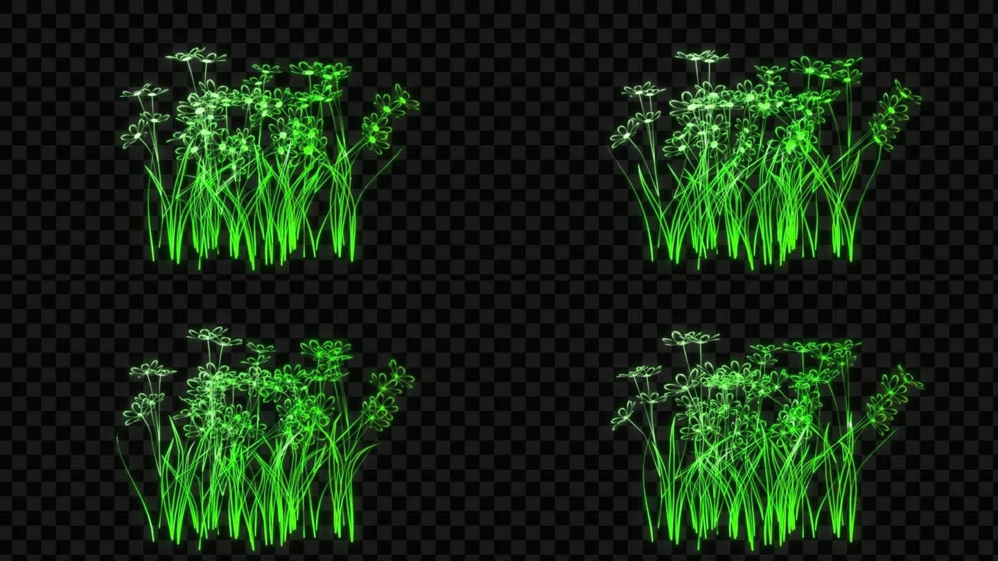 绿色发光植物花丛-带透明通道