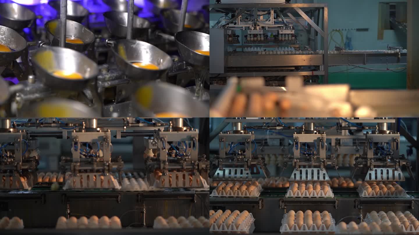 蛋类机械流水线