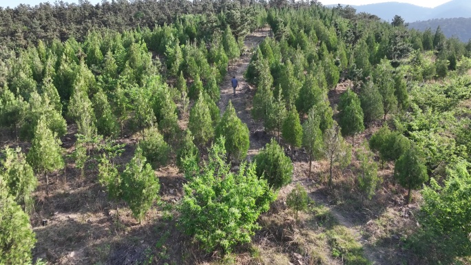 航拍沂蒙山
