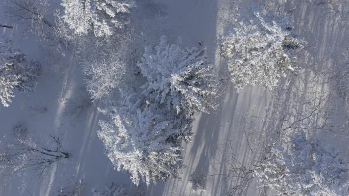 航拍吉林省吉林市永吉北大湖滑雪场雪景全景