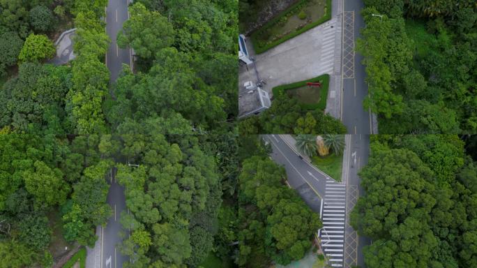 航拍深圳大鹏最美旅游公路新东路