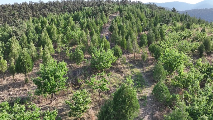 航拍沂蒙山