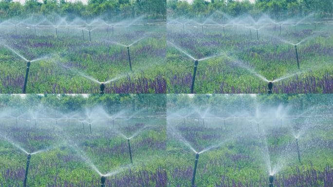 园林自动喷淋系统灌溉系统