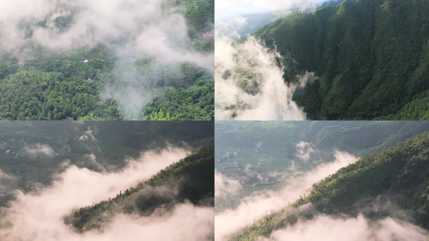 大山 绿美 日出云海 高山日出