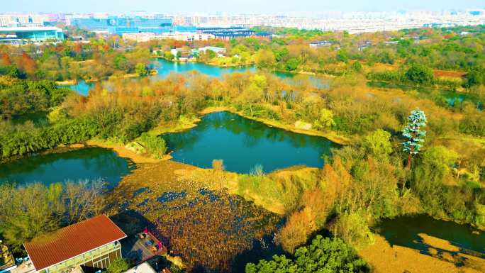 杭州西湖区西溪湿地美景风景视频素材49