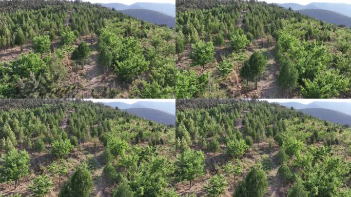 航拍沂蒙山