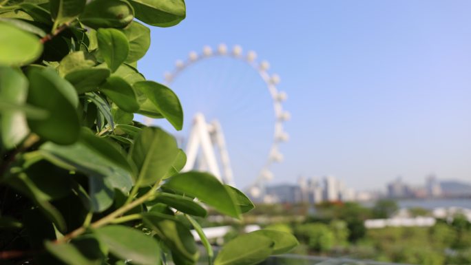 深圳欢乐港湾摩天轮