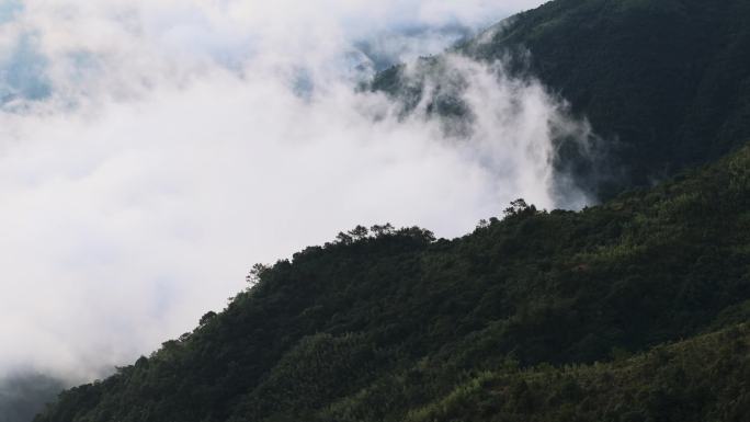 大山 绿美 日出云海 高山日出