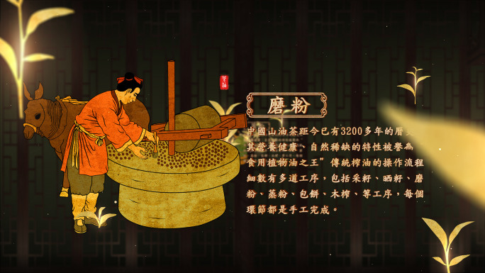 中国风古法木榨油山茶油工艺流程视频素材