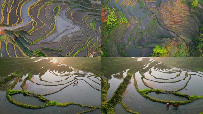 农耕年华 大美雷公岩梯田