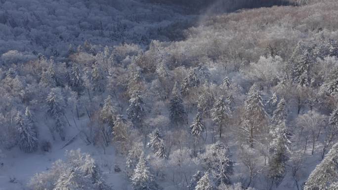 航拍吉林省吉林市永吉北大湖滑雪场雪景全景