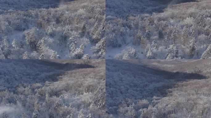 航拍吉林省吉林市永吉北大湖滑雪场雪景全景