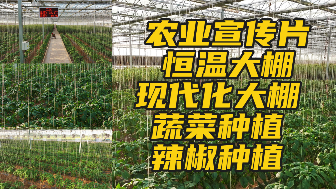 温度检测现代化大棚蔬菜种植