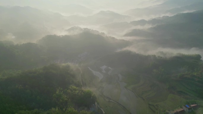 晨雾初起 山谷缥缈