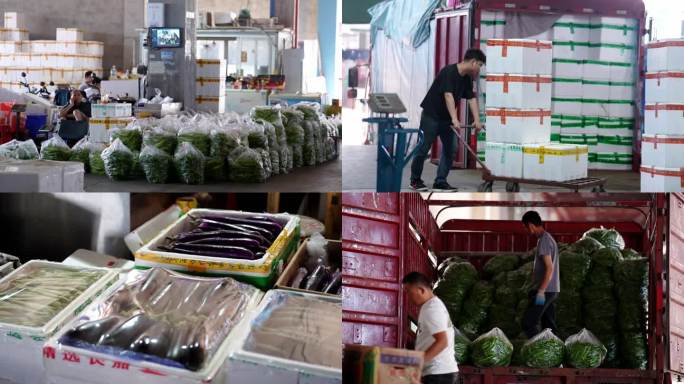 蔬菜水果运输 农批中心