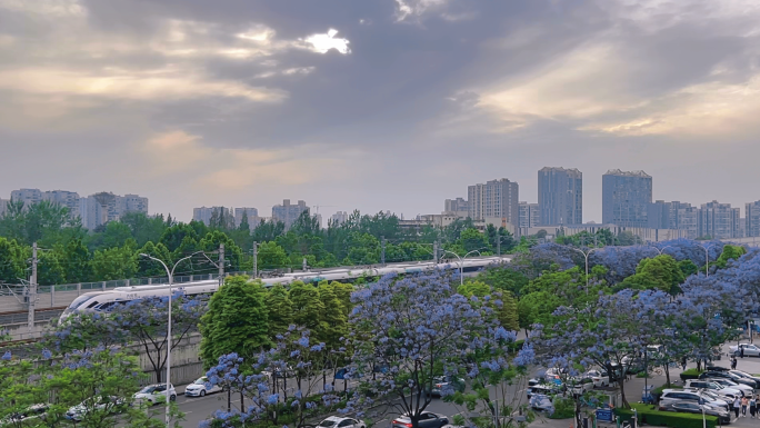 中国速度中国高铁蓝花楹夕阳下的高铁行驶