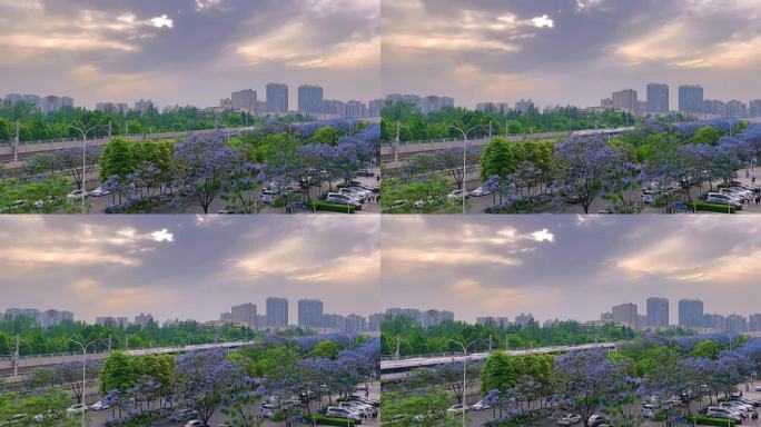 中国速度中国高铁蓝花楹夕阳下的高铁行驶