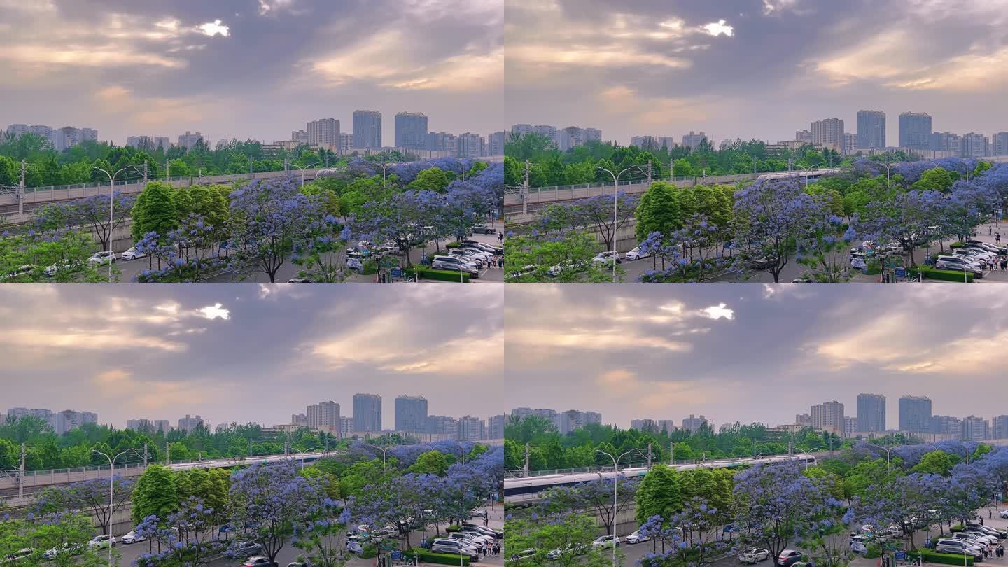 中国速度中国高铁蓝花楹夕阳下的高铁行驶