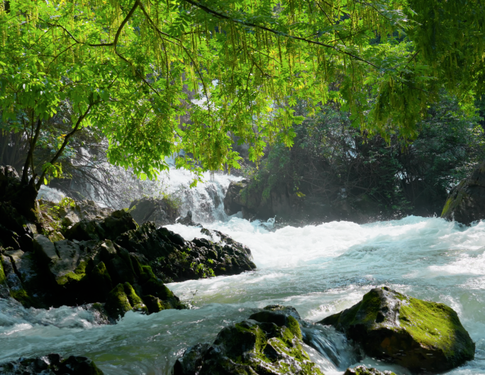 山泉水河流