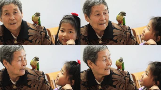 奶奶孙女微笑着与可爱的宠物鹦鹉玩耍