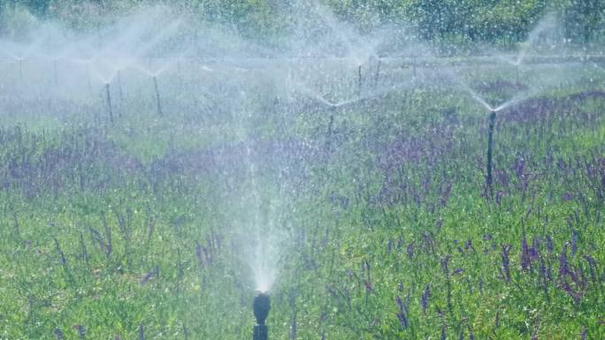 园林自动喷淋系统灌溉系统