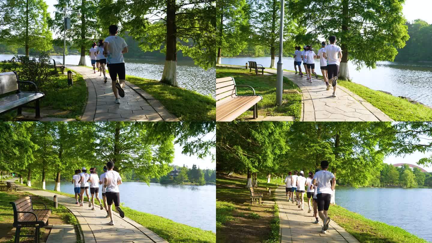 公园跑步运动健康 湖边跑步 城市环境宜居