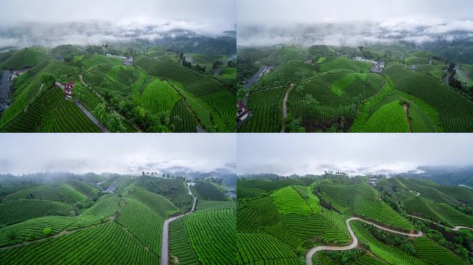 航拍山区云雾袅绕的茶山4K
