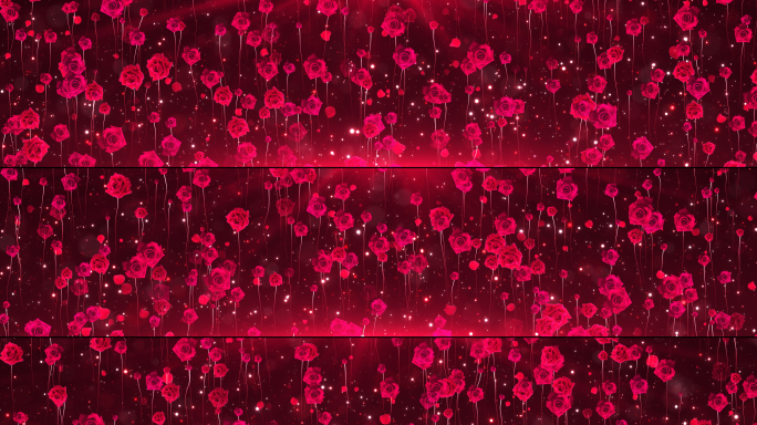 9k超宽屏浪漫红色玫瑰花舞台背景