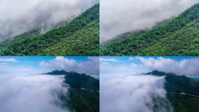 森林 大山 山川日出  榕大公路